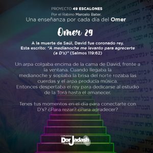 OMER29