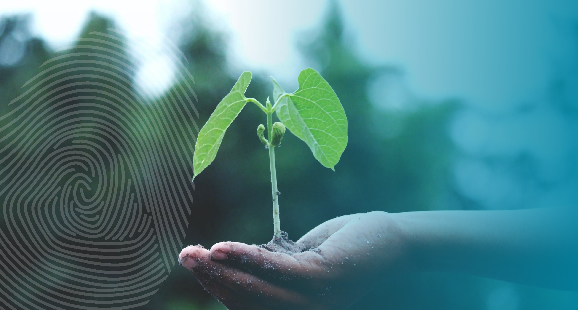 Tu Bishvat